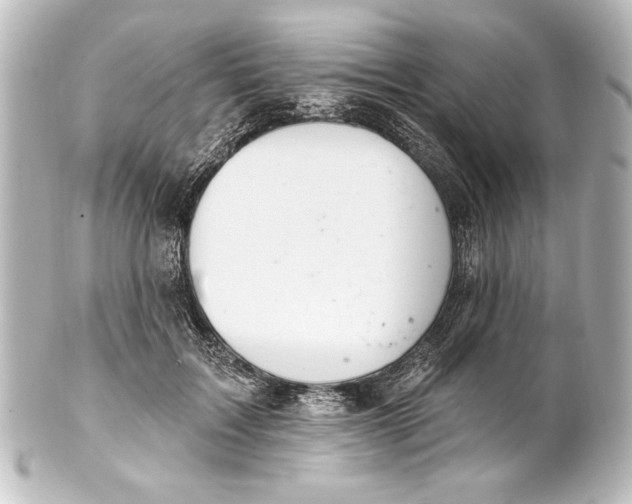 X0000101420603200807280939