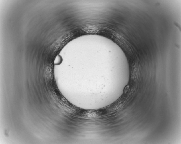 X0000101420604200807280939