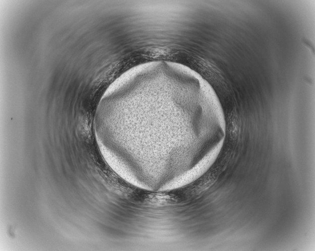 X0000101420607200807280939