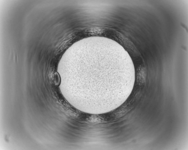X0000101420608200807280939