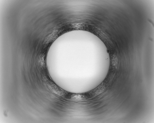 X0000101420611200807280939