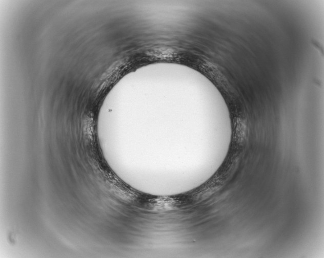 X0000101420612200807280939