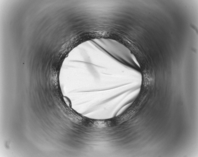 X0000101420613200807280939