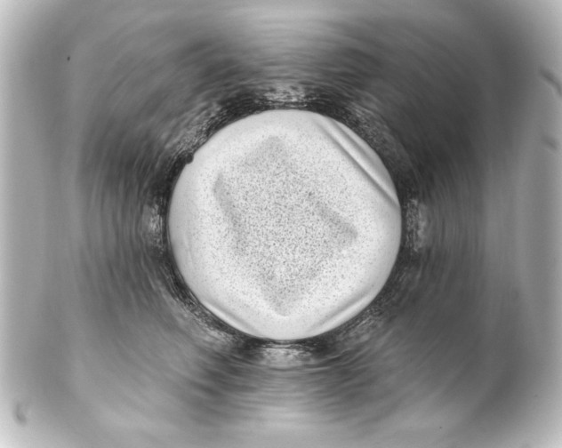 X0000101420614200807280939