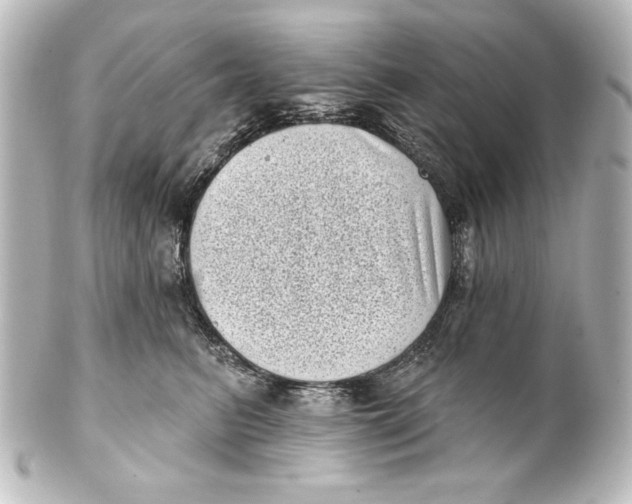X0000101420615200807280939