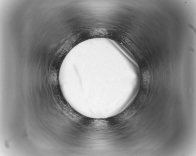 X0000101420617200807280939