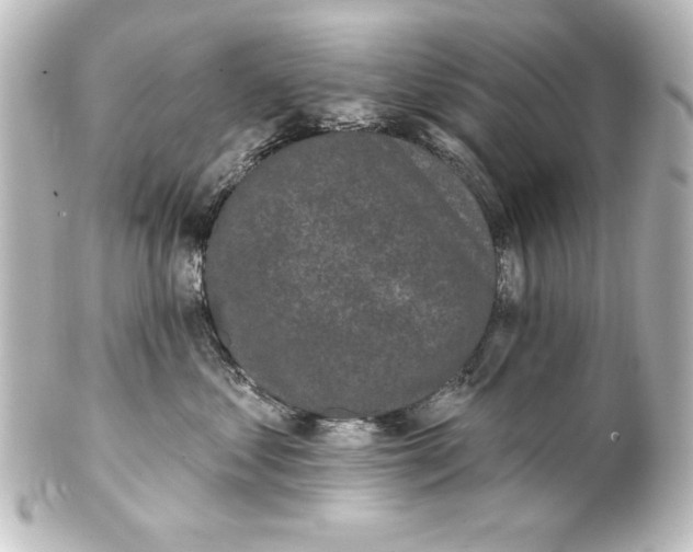 X0000101420621200807280939