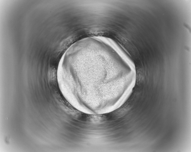 X0000101420623200807280939