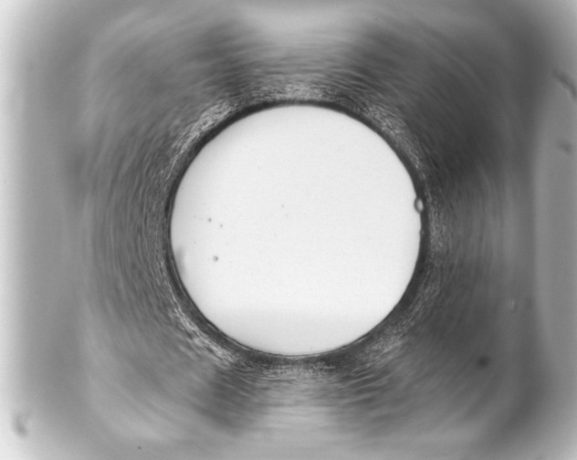 X0000101420625200807280938