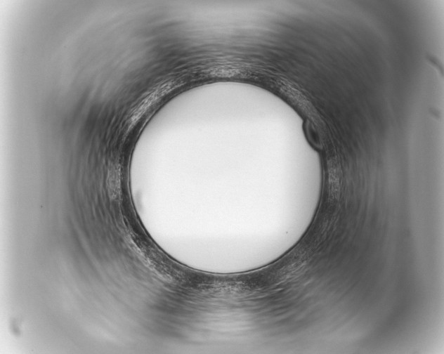 X0000101420626200807280938
