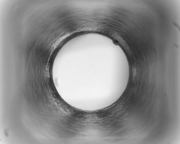 X0000101420628200807280938