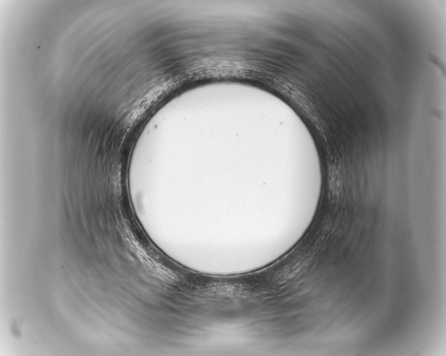 X0000101420629200807280938