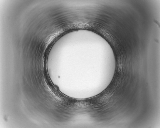 X0000101420630200807280938