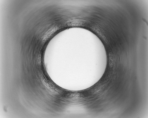 X0000101420631200807280938