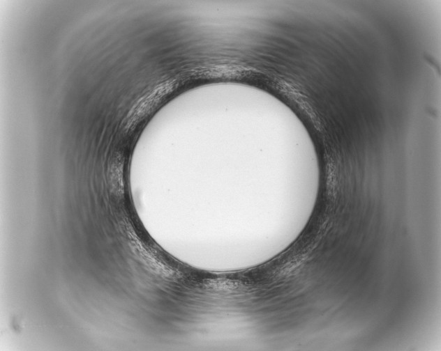 X0000101420633200807280938