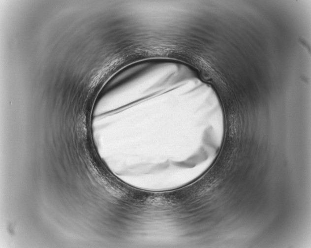 X0000101420634200807280938