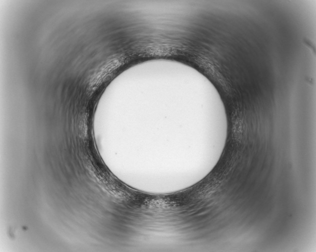 X0000101420635200807280938