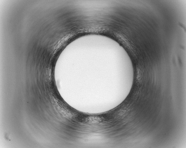 X0000101420636200807280938