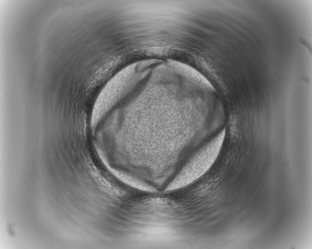 X0000101420637200807280938