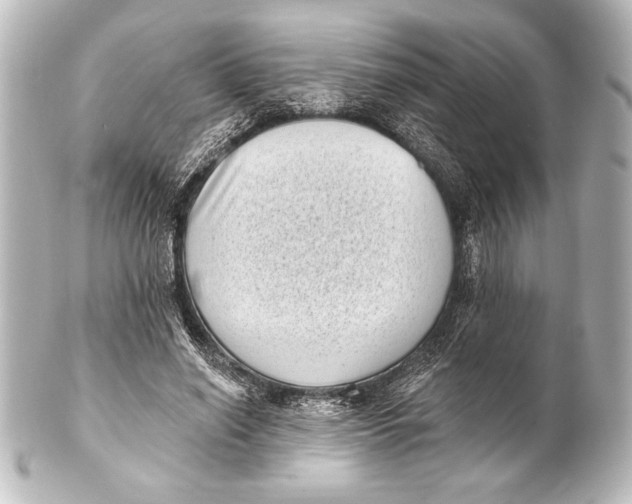 X0000101420638200807280938