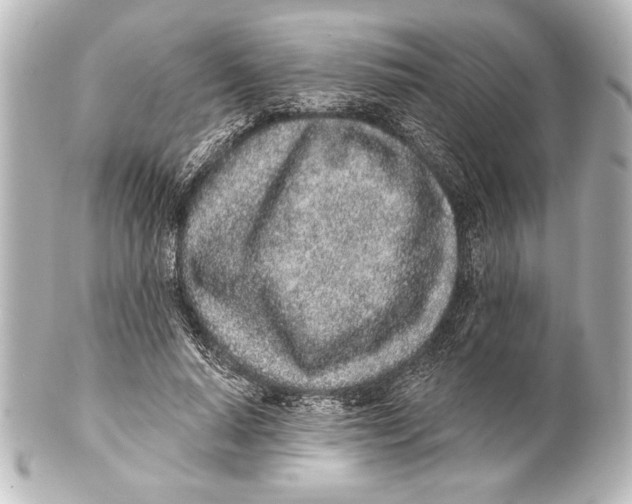 X0000101420640200807280939