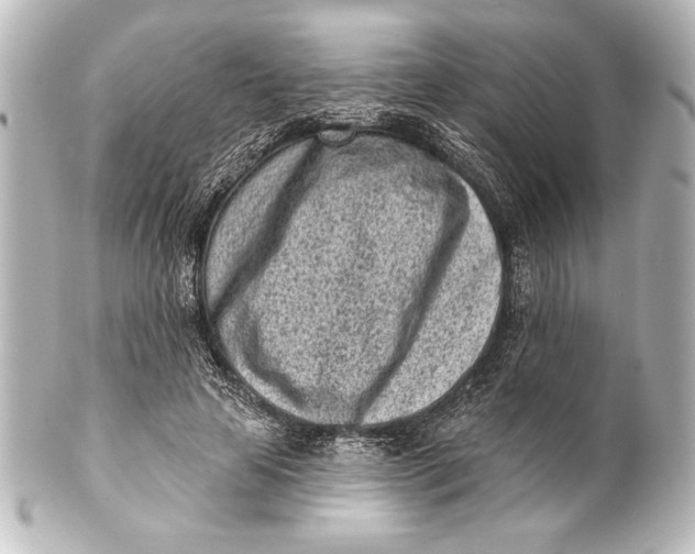 X0000101420641200807280939