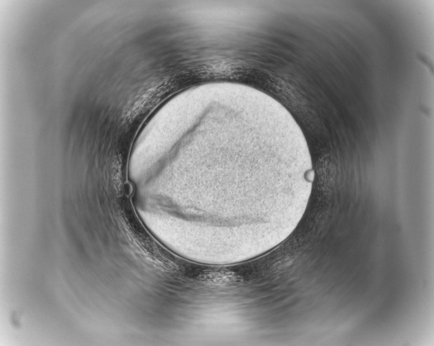 X0000101420642200807280939