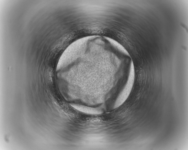 X0000101420643200807280939