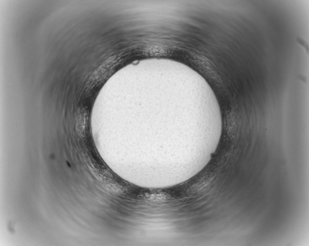X0000101420645200807280939