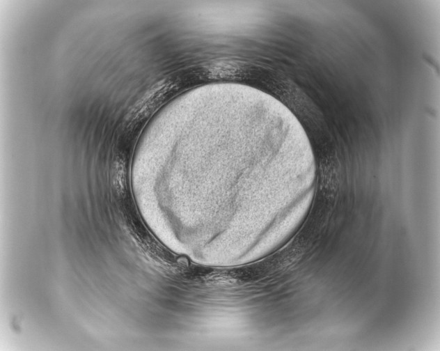 X0000101420648200807280939