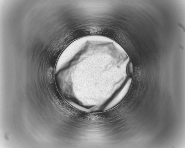 X0000101420650200807280939