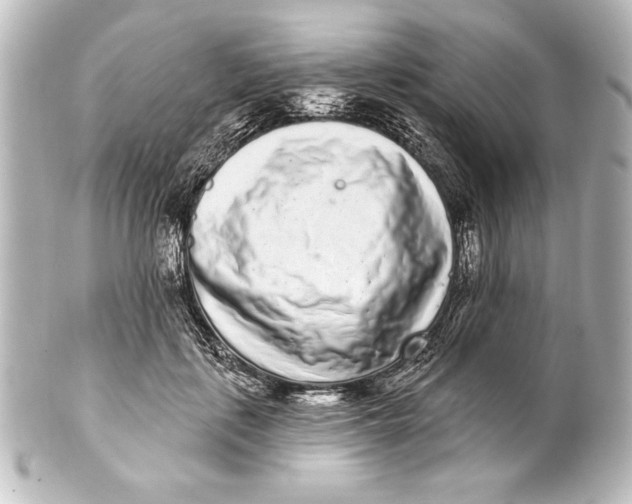 X0000101420651200807280939