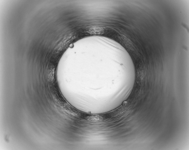X0000101420652200807280939