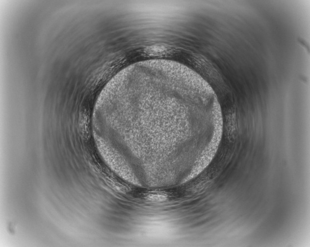 X0000101420653200807280939