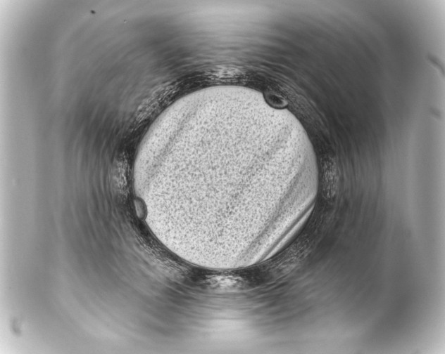 X0000101420654200807280939