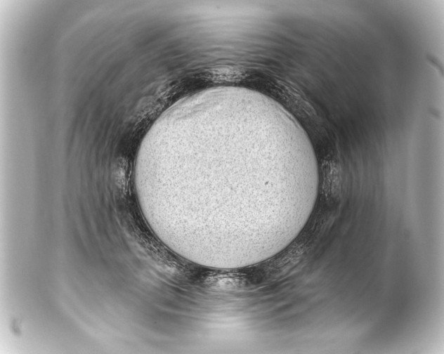 X0000101420655200807280939