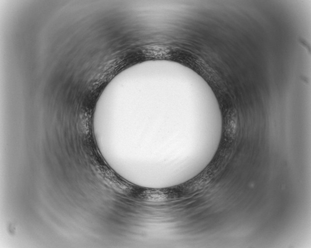 X0000101420658200807280939