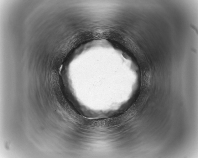X0000101420659200807280939