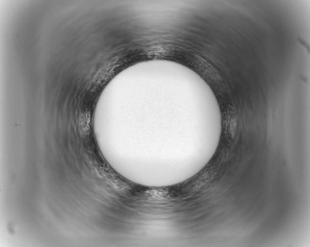X0000101420660200807280939