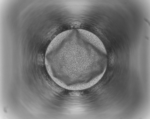 X0000101420661200807280939