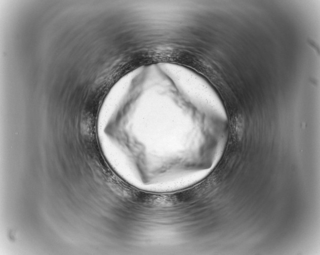 X0000101420663200807280939
