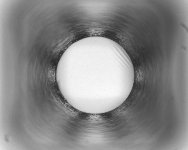 X0000101420666200807280939