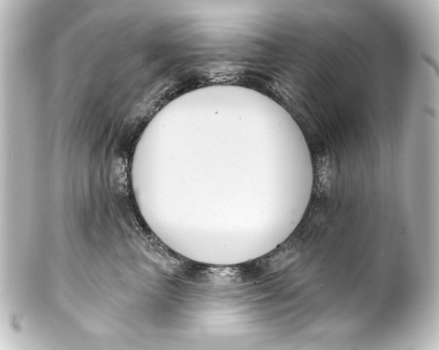 X0000101420667200807280939