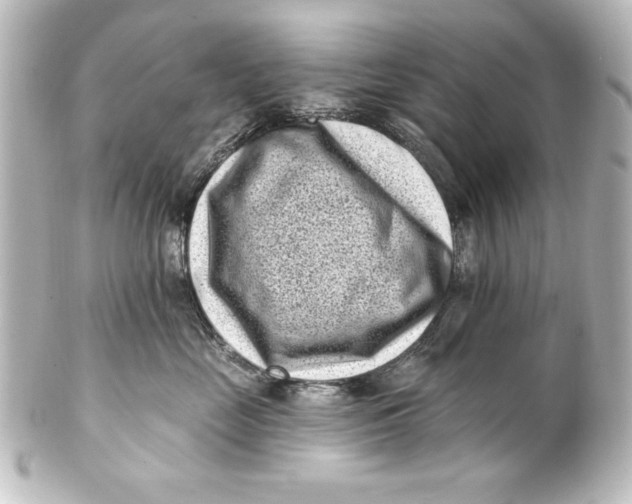 X0000101420669200807280939