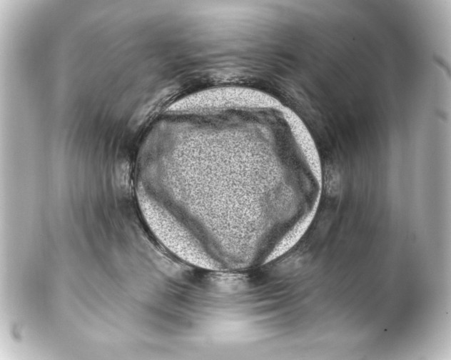 X0000101420670200807280939