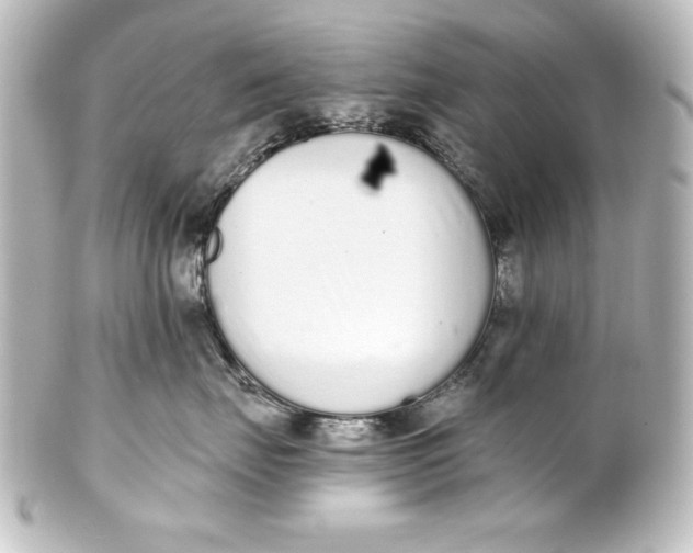 X0000101420671200807280939