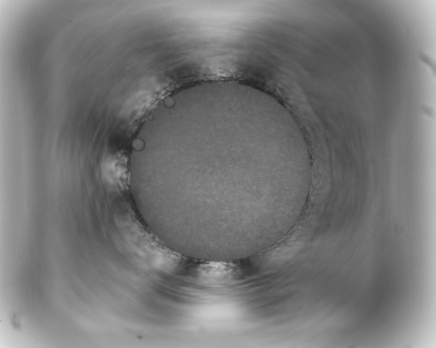 X0000101420672200807280939