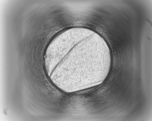 X0000101420673200807280938