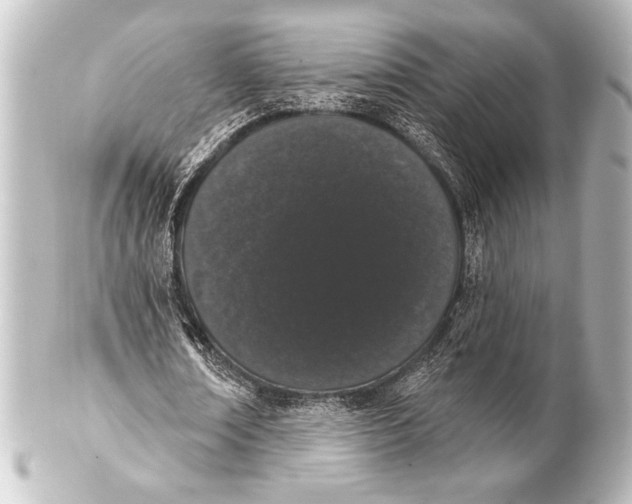 X0000101420674200807280938