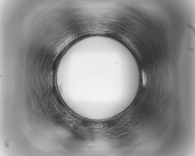 X0000101420675200807280938